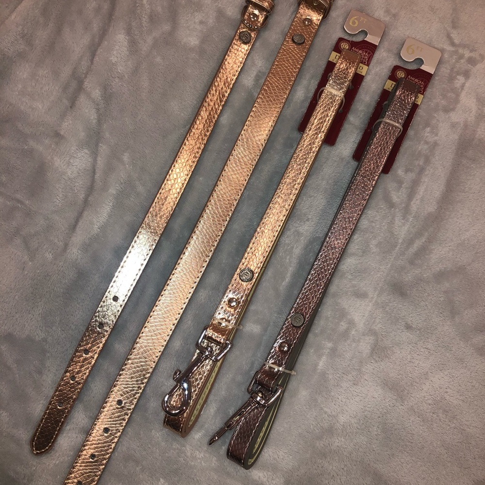 Dog collar/ leash